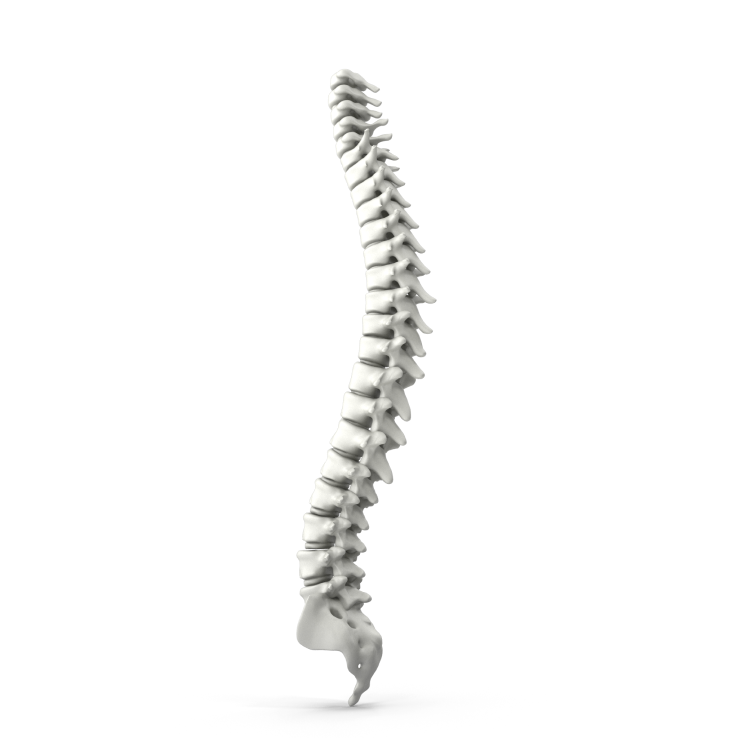 Best spine and joint clinic in Thiruvarur